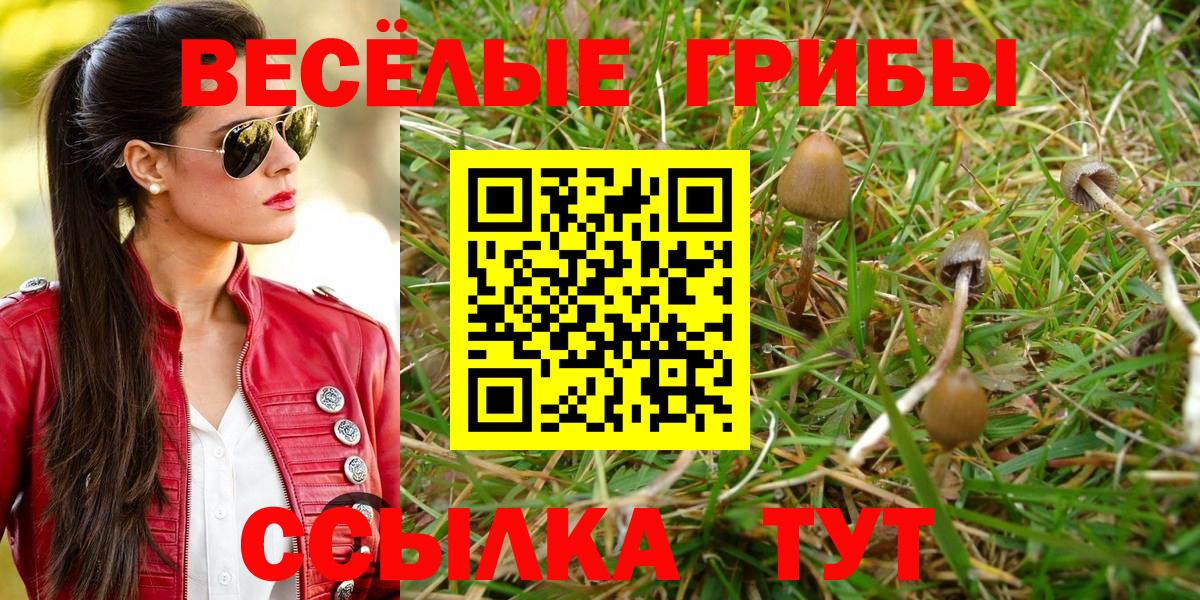 Псилоцибиновые грибы Psilocybine cubensis Первоуральск
