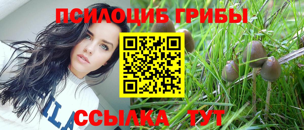 Псилоцибиновые грибы ЛСД  хочу   Первоуральск  Вход с VPN 